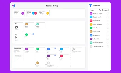 Complex Will provisions and advanced options